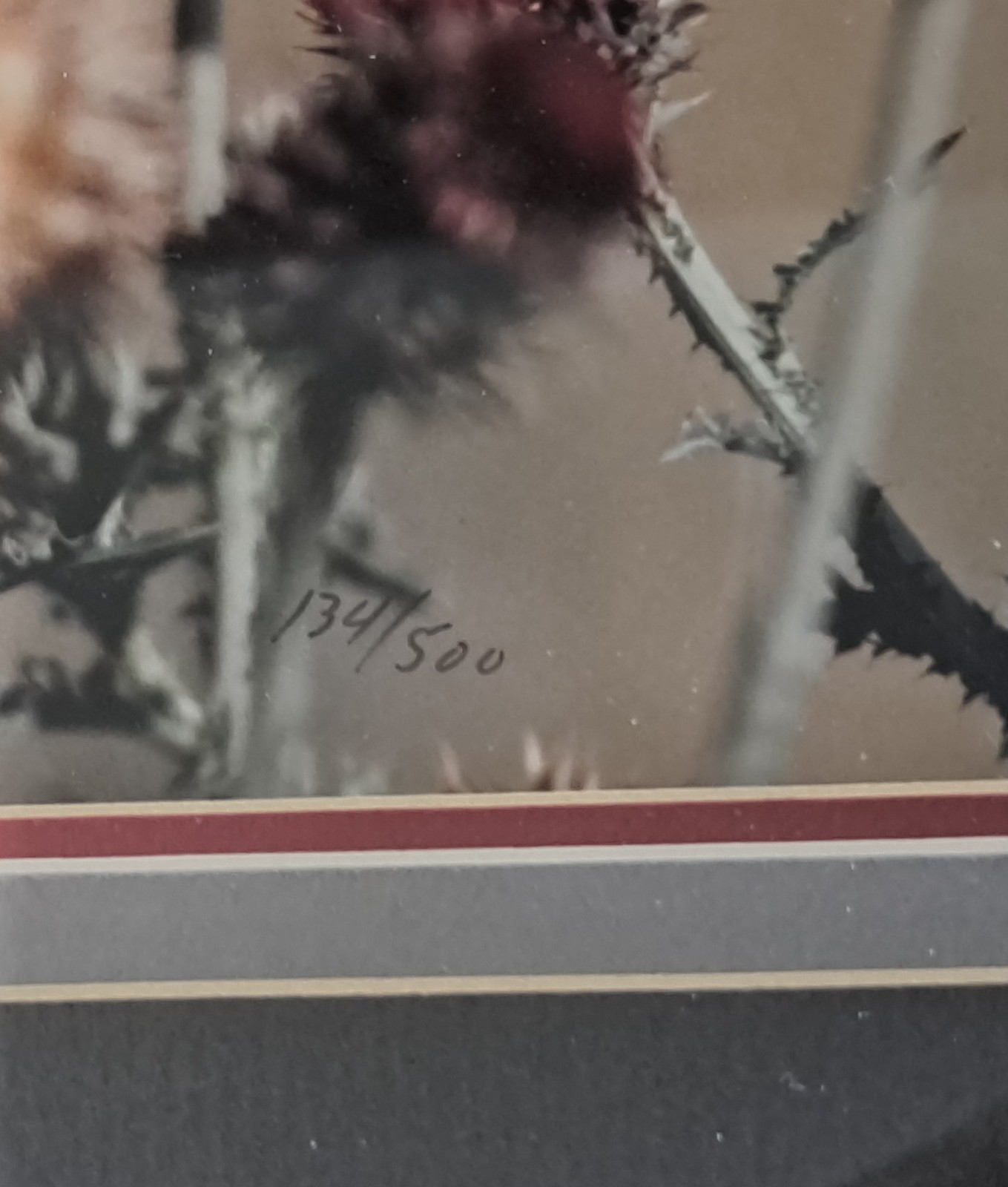 Thomas D. Mangelsen Color Photo Signed Numbered Promises of The Prairie 134/500