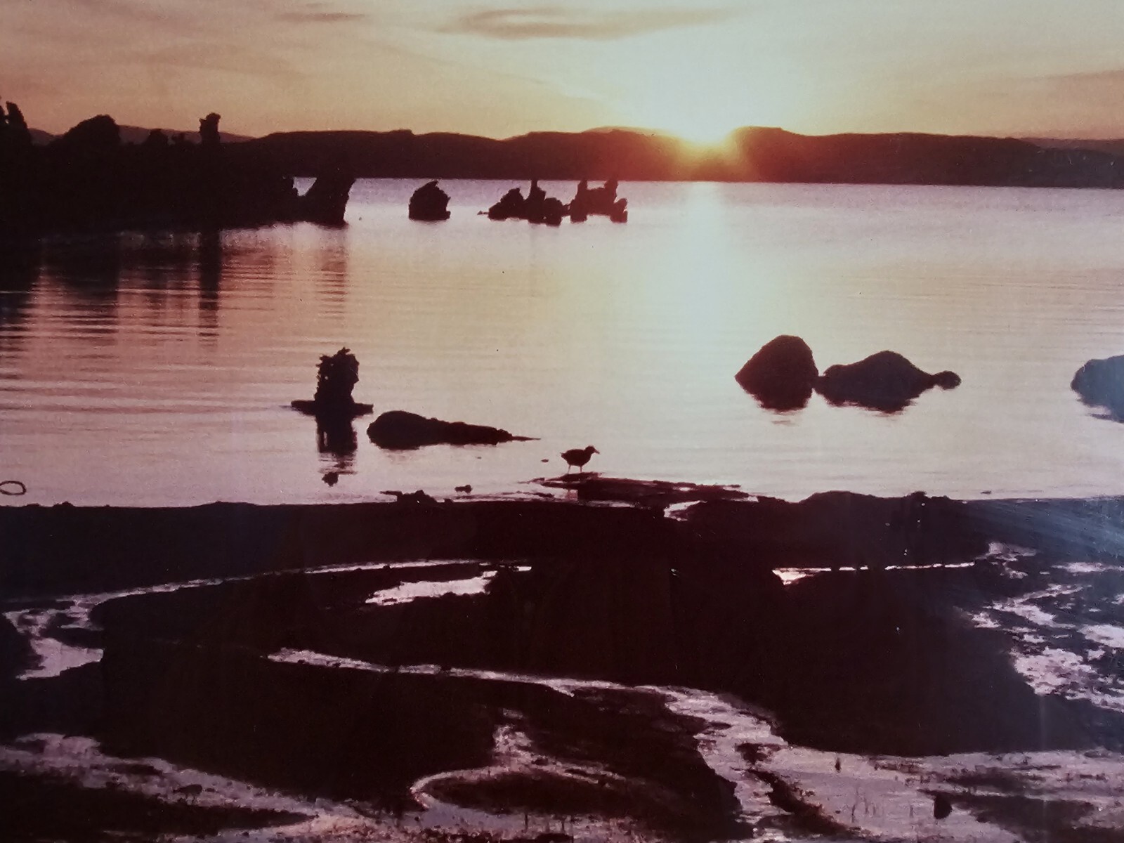 ART – Large Original Signed P. Van Dolson 35mm Photograph 29×21 Framed Landscape
