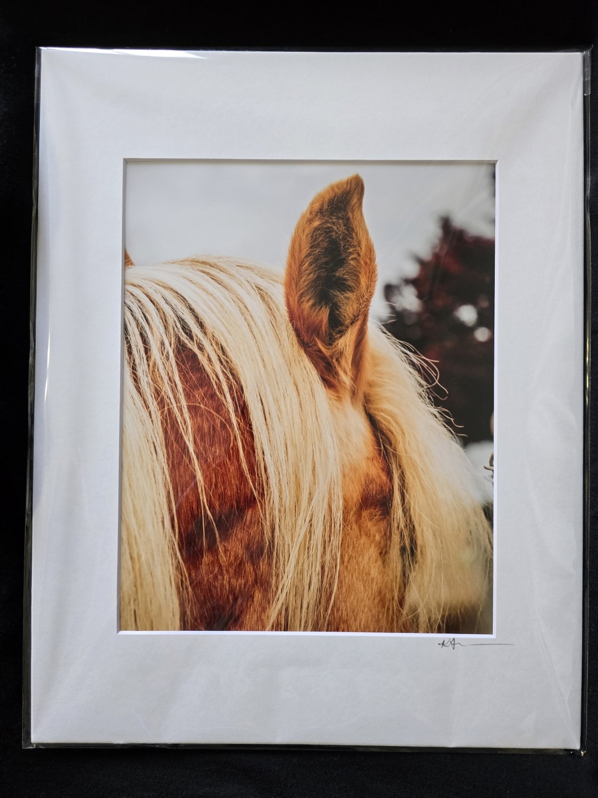 Farmhouse Horse Profile Unique 8×10 Matted 11×14 Horse Photograph Signed