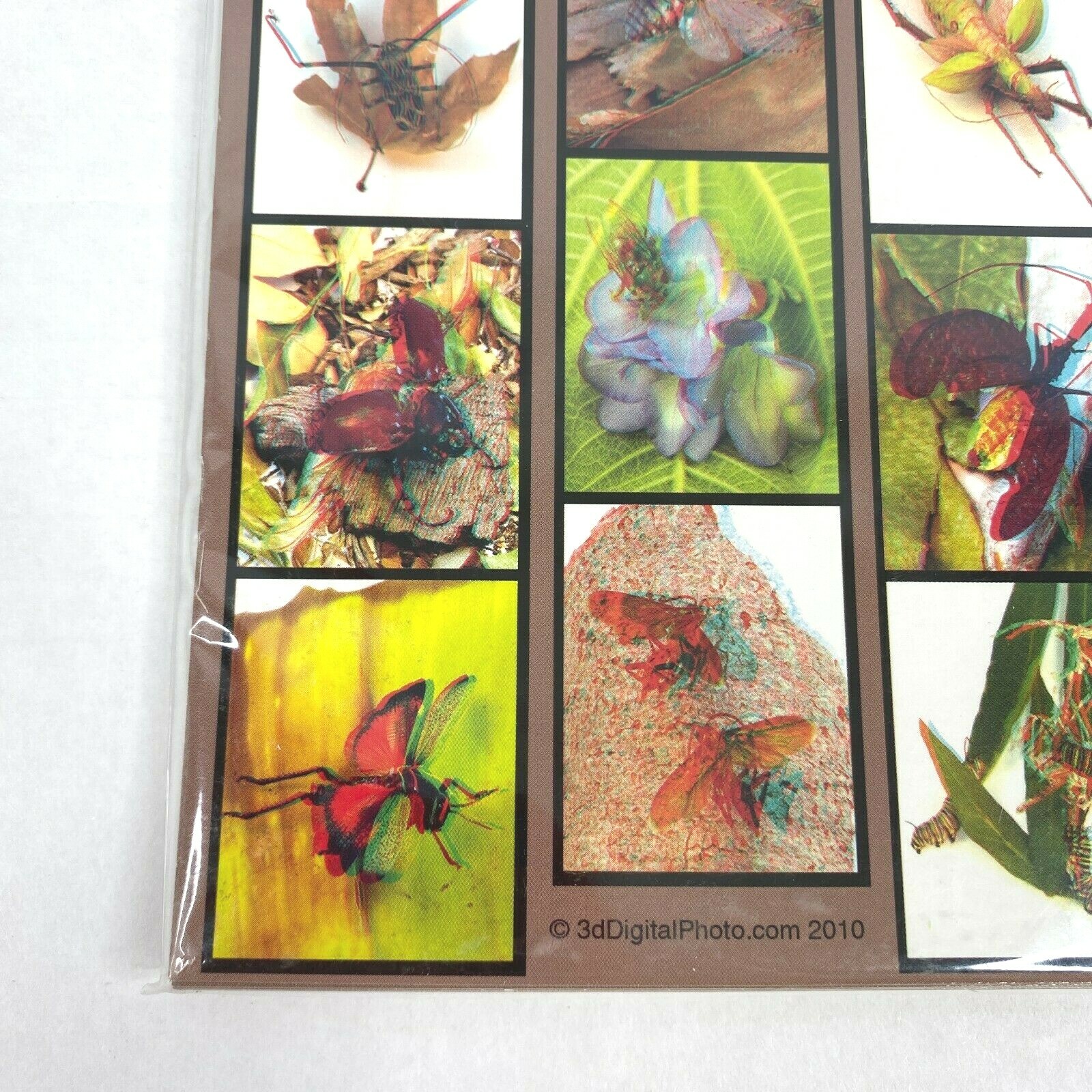 Collectors Insects 3-D 3D Photographs Set Art Phantom Image Barry Rothstein New