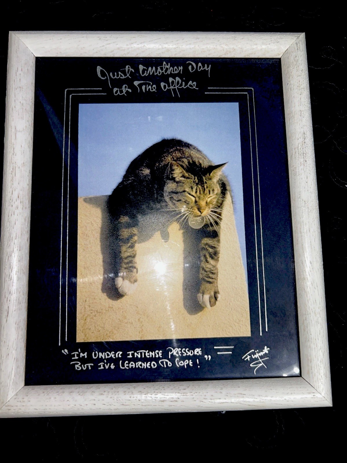 Harry Fujimoto Signed “Just Another Day at the Office” Funny Cat Photo