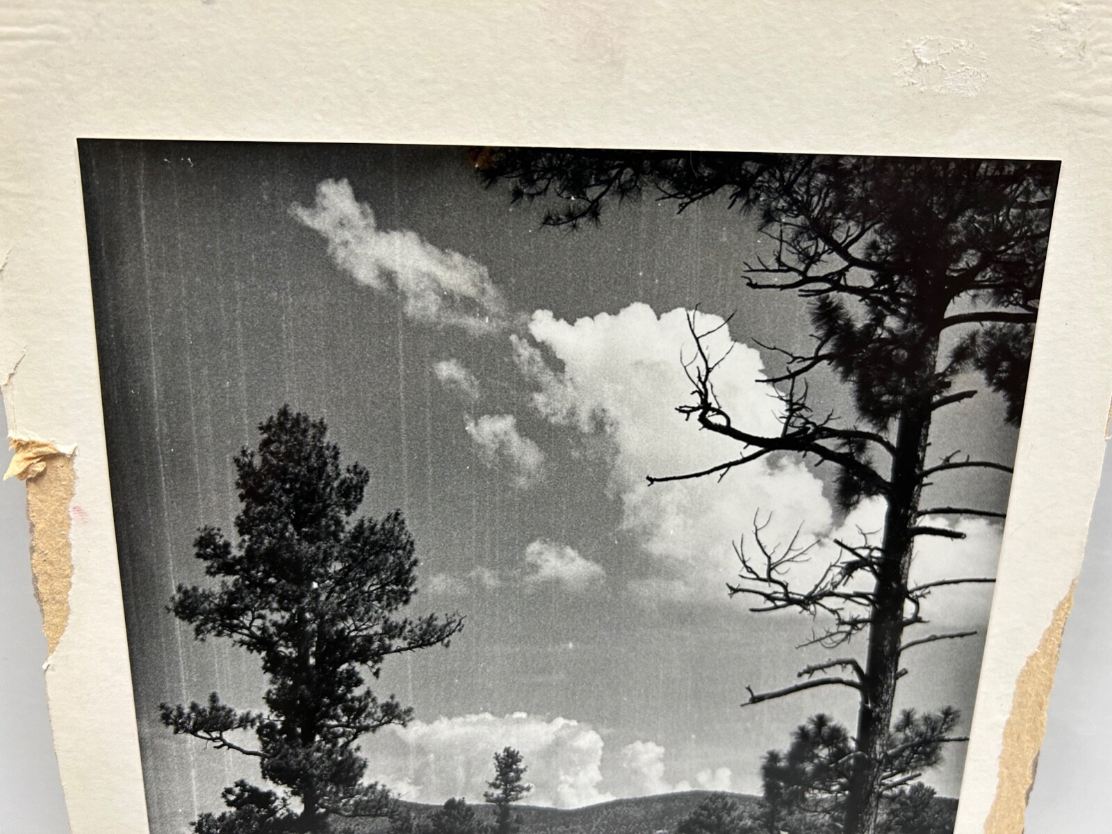 Vtg Robert Taylor New Mexico Photography Nature Landscape Photo Blk & Wht (A7)