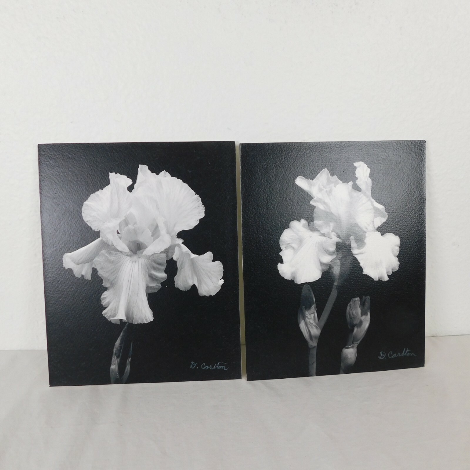 2 Black & White Iris Foam Core Mounted Signed D Carlton Photo Pacific NW Artist
