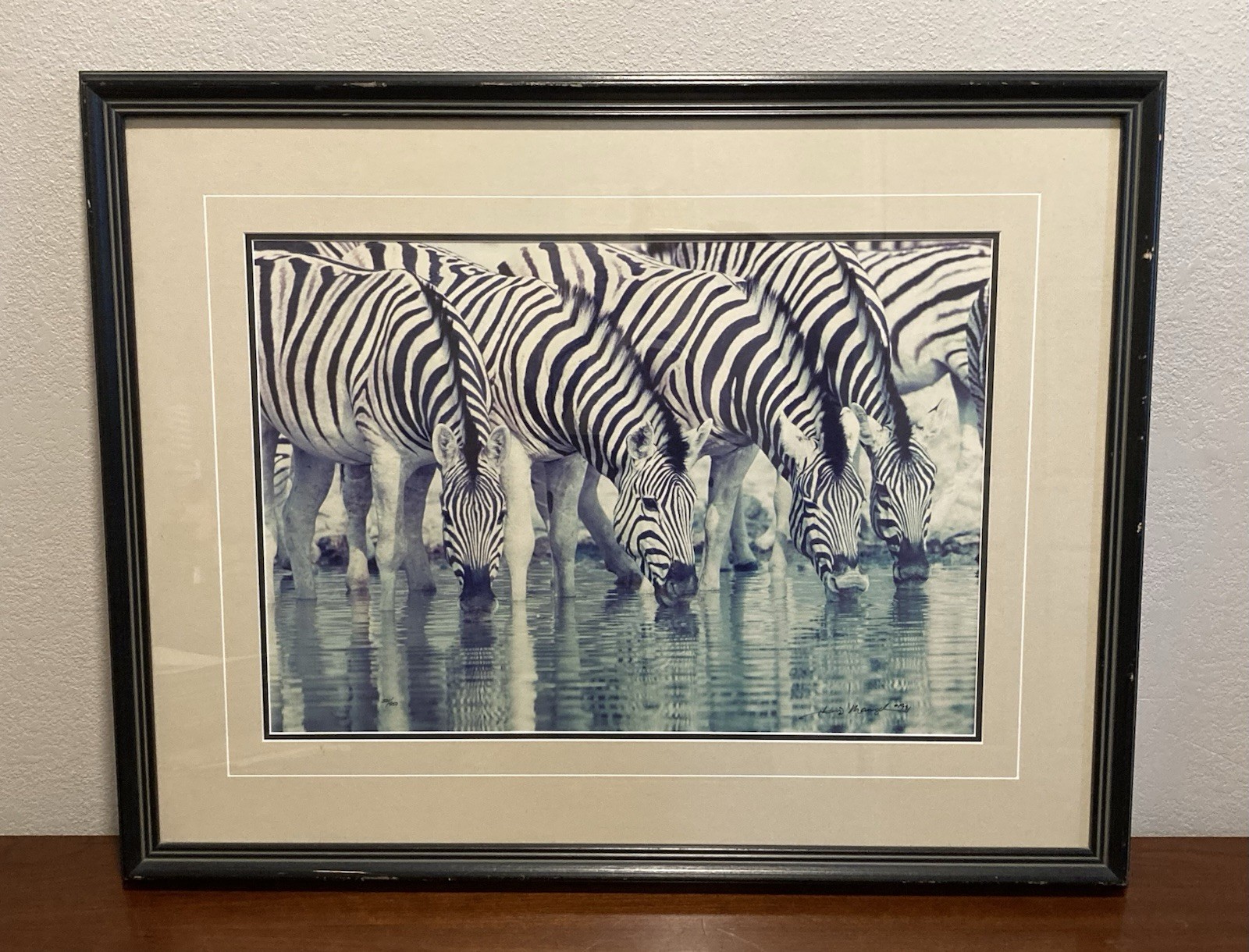 Thomas D. Mangelsen Dry Season Signed Framed Color Landscape Photograph Zebras