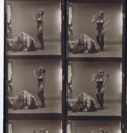 NEWLY FOUND! Hendrickson PHOTO Contact Sheet Proof & Negs SEXY BABE & CLOWN DOLL