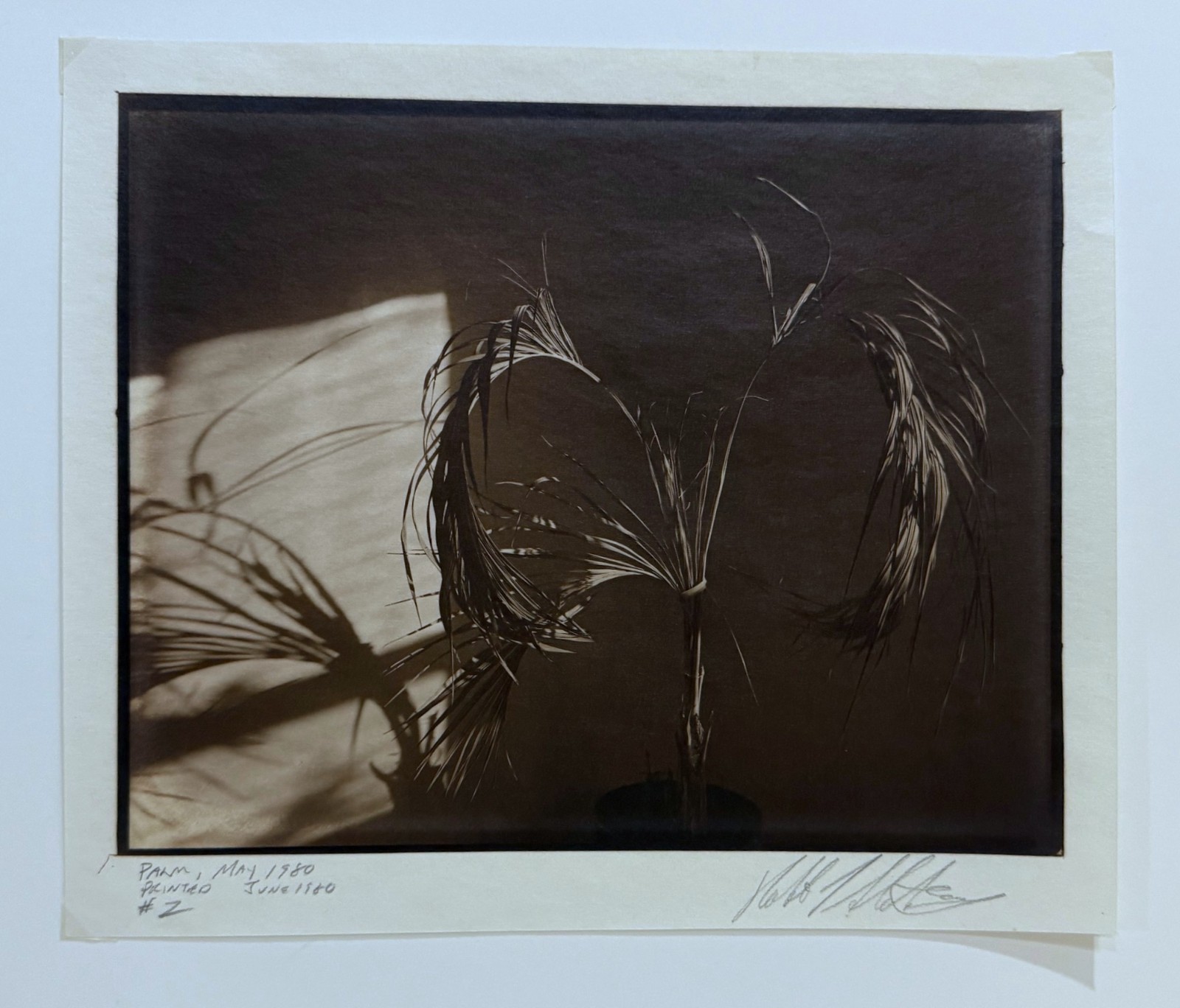 AMERICAN ARTIST ROBERT J. STEINBERG SIGNED TITLED DATED PHOTOGRAPH – “PALM”