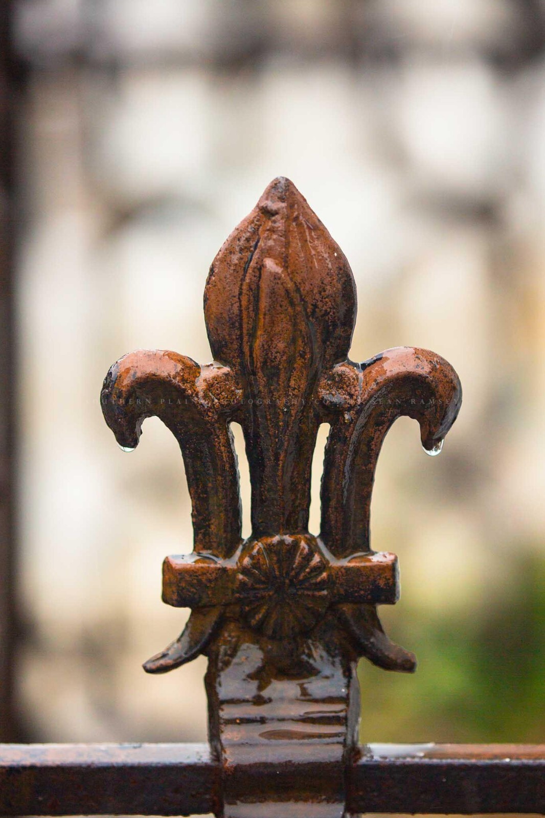 Fleur de Lis Photography Print: Louisiana French Quarter New Orleans Photo