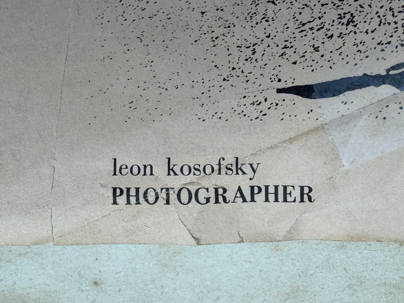 LEON KOSOFSKY SIGNED PHOTOGRAPH FRACTURED QUILL APPLE FEATHER WINE BOTTLE ART