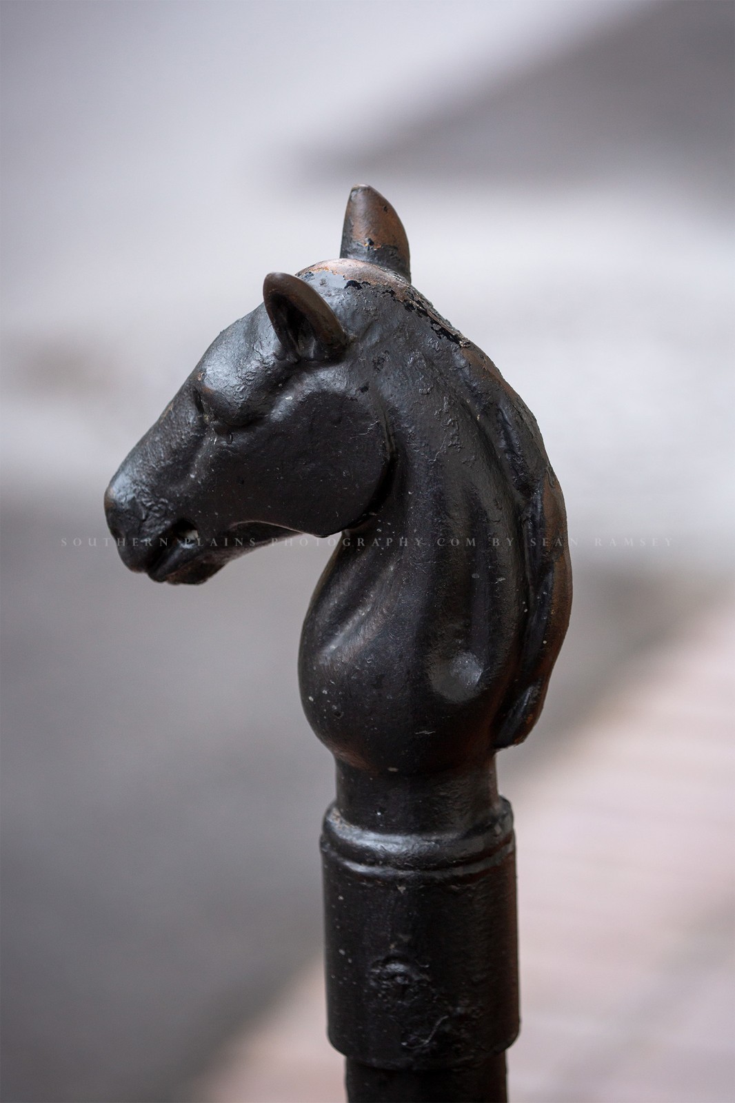 Horse Head Hitching Post Photography Print: New Orleans Louisiana French Quarter