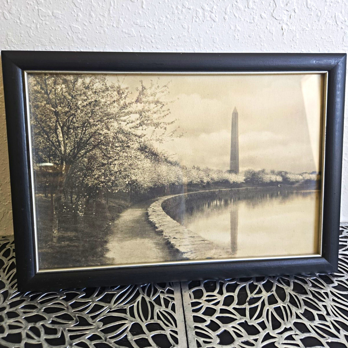 Framed Sepia Washington Monument Cherry Blossoms Photograph