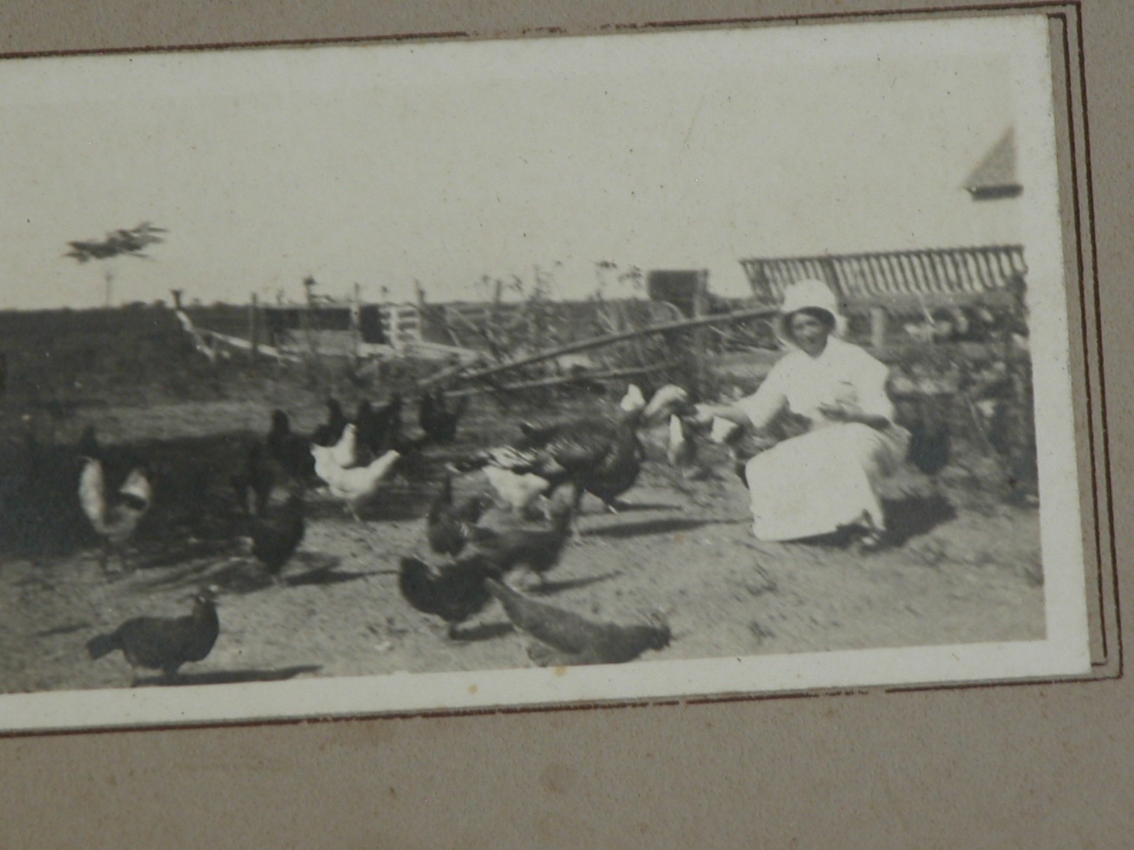 c. 1920s. McAllister Family Archives Photos Elliott Family Glendale, CA