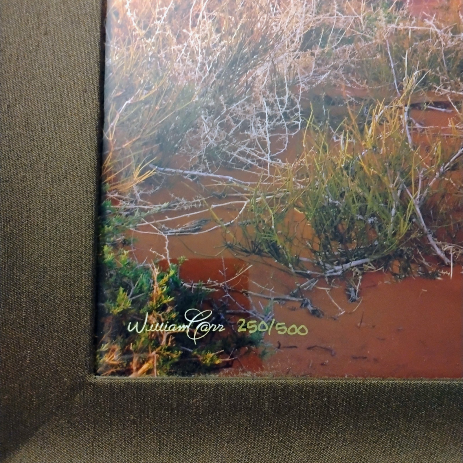 William Carr professional fine art photograph with Oak frame retail value $1600