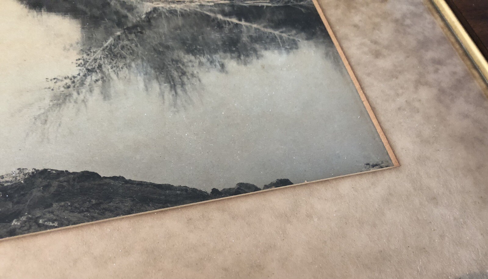Antique Art Photograph Circa EARLY 20TH Century Tinted