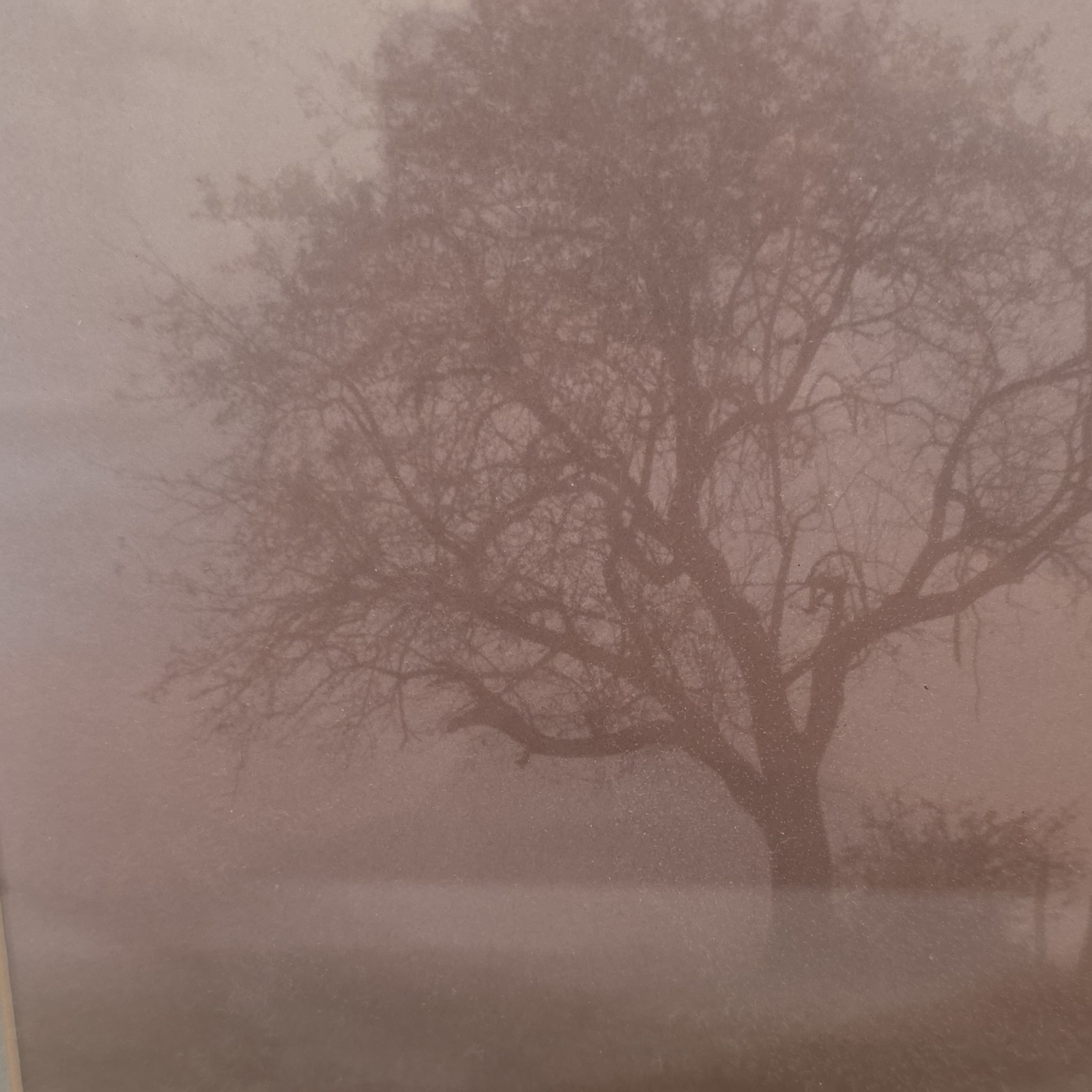 Mary Lou Smith ‘Comphacent I Stand’ Sepia Landscape Photo 12×16 Framed Jury Awa…