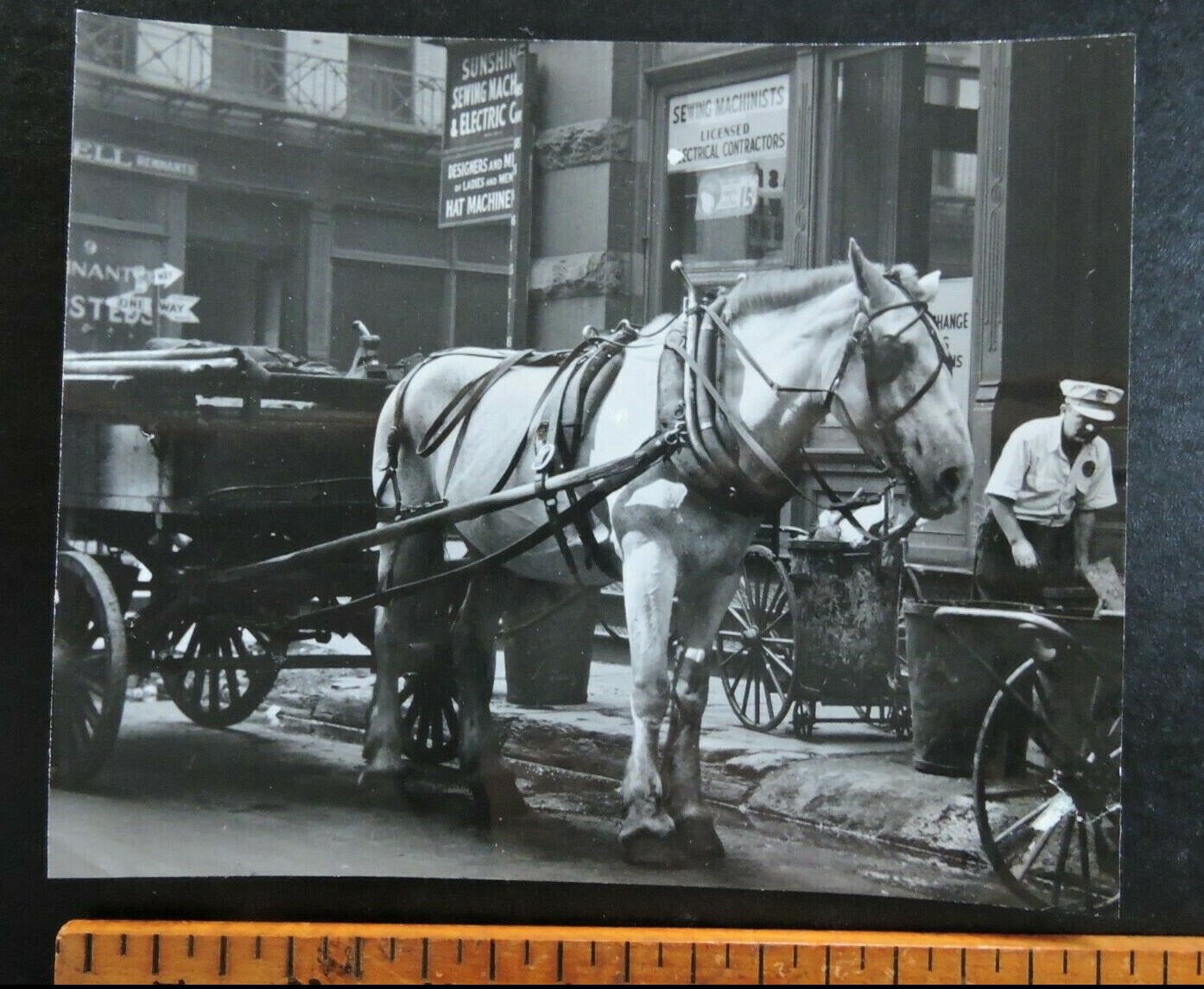 Signed 1939 7×8″ NYC Sanitation & Horse New York City PHOTO LEAGUE Joe Schwartz