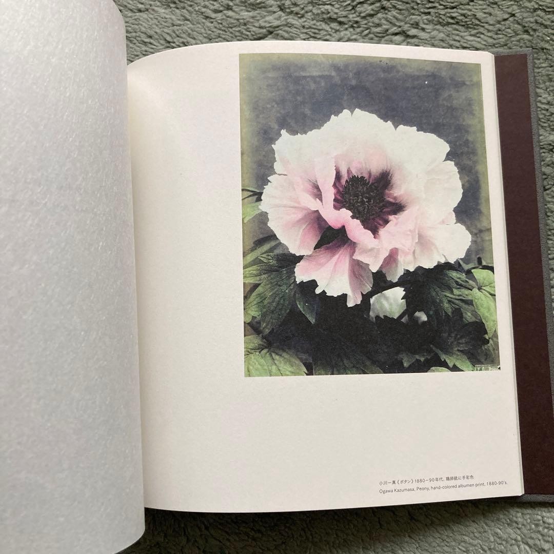 Rare Not For Sale Nobuyoshi Araki Tokyo Bojo Guimet Museum Catalog Photobook