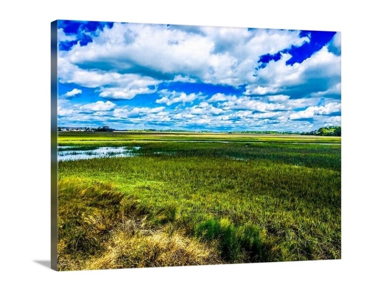 SC Perspective” 16×20 Canvas Signed Limited Print By Karen Stemmle Lowcountry
