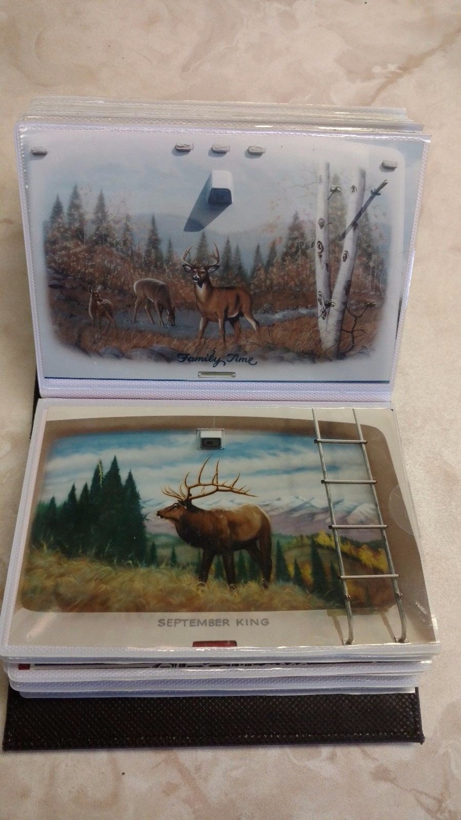 RV Art 100 Page Photo Album Portfolio Pinstriping Motorhome Airbrush Murals Gift