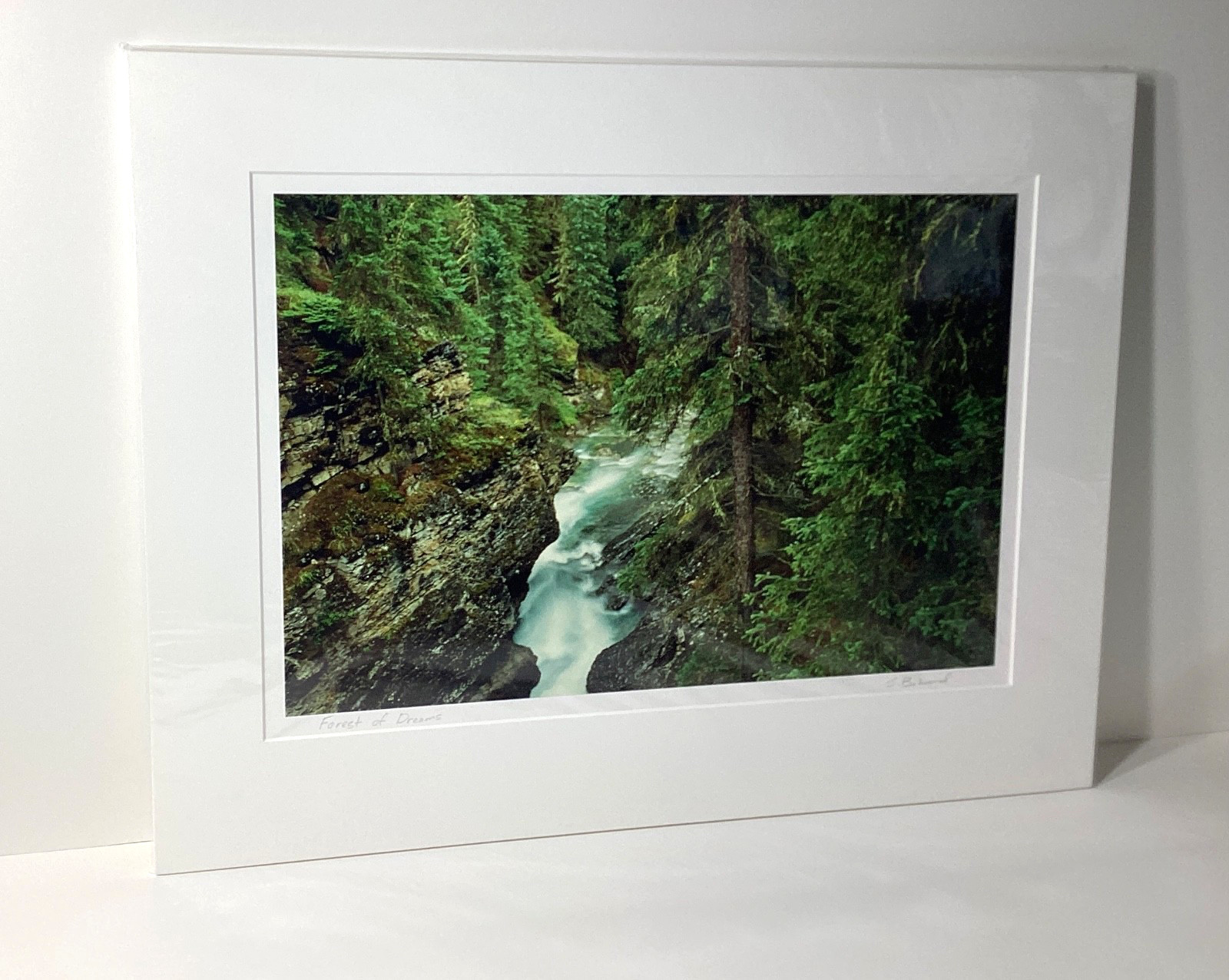 Fine Art Photograph Forest of Dreams Canadian Rockies Landscape Signed & Matted