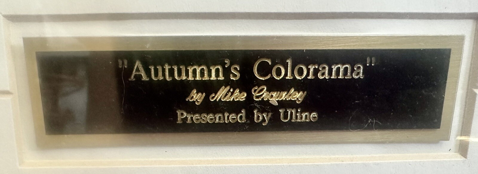 Vintage Photo “Autumns Colorama” By Mike Crowley Framed Photograph Fall, Trees