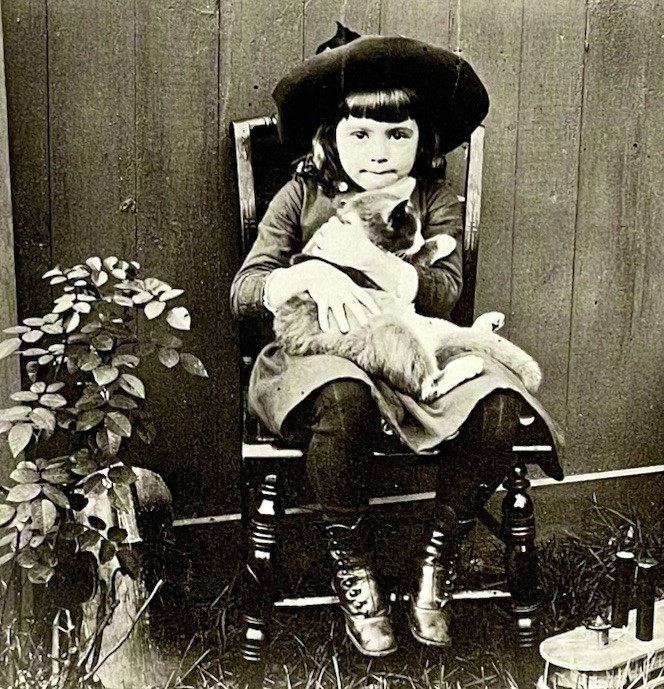 Girl With Cat c. 1885 Fotofolio Art Photo Print Card 4.25”x6”