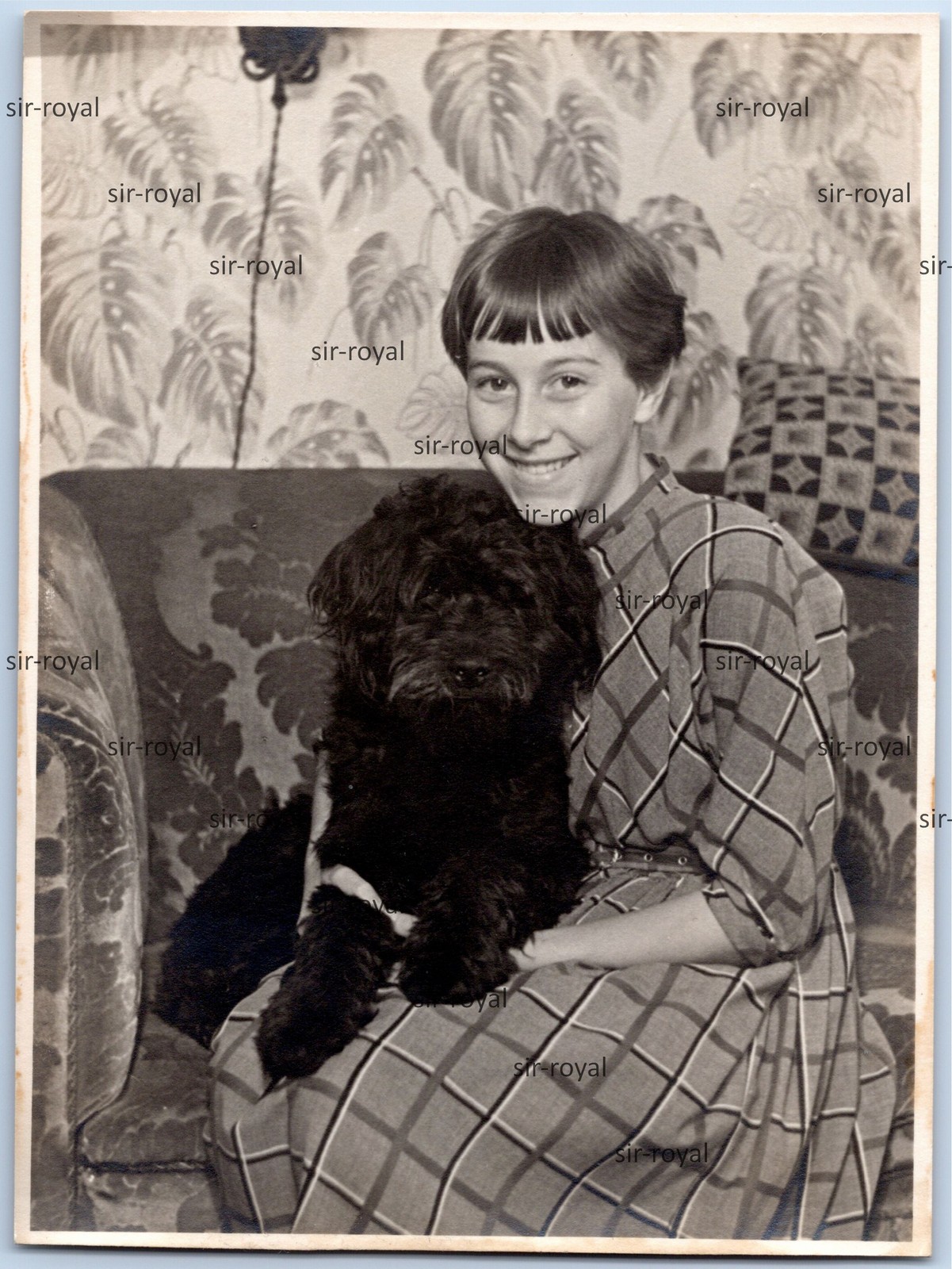 Girl with Black Poodle Dog on Sofa – 1960s – Photo 9x12cm