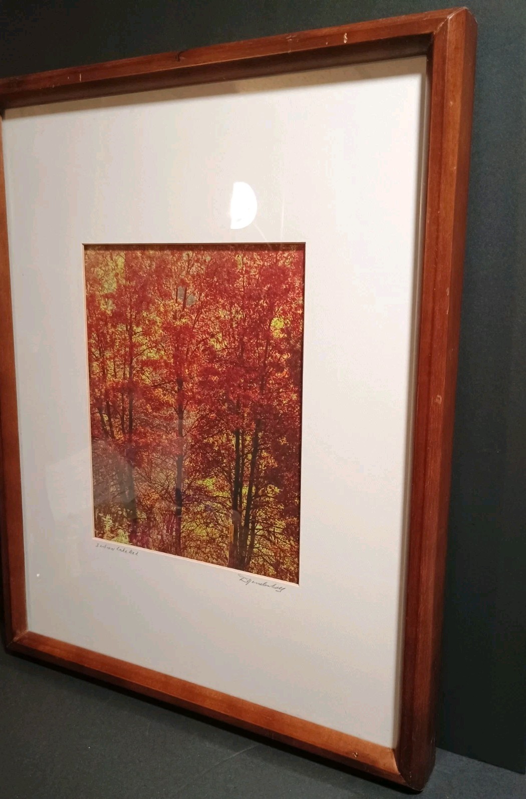 “Indian Red Lake” Signed Photography 15.5 X 19.5″ Framed & Matted 8 x 10
