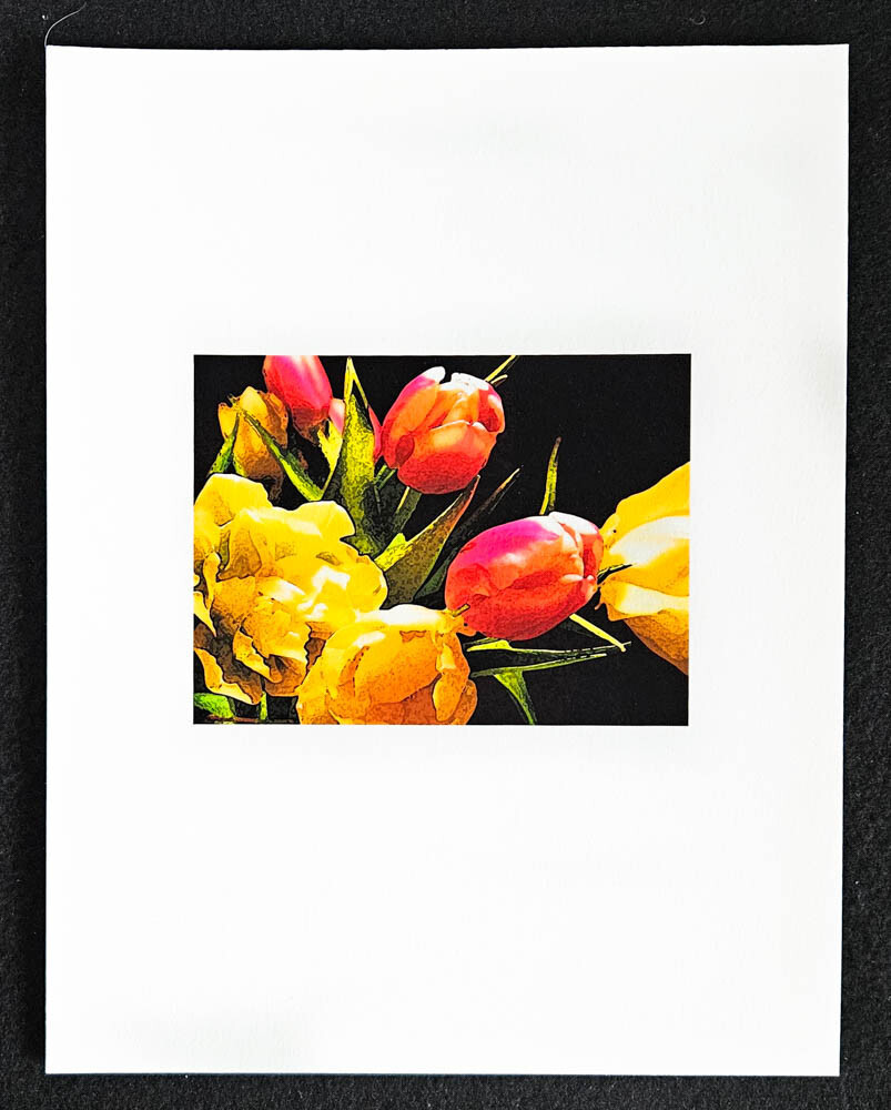 Art Photography Color Image Flowers Tulips 8 1/2″ X 11″ Processed Effect