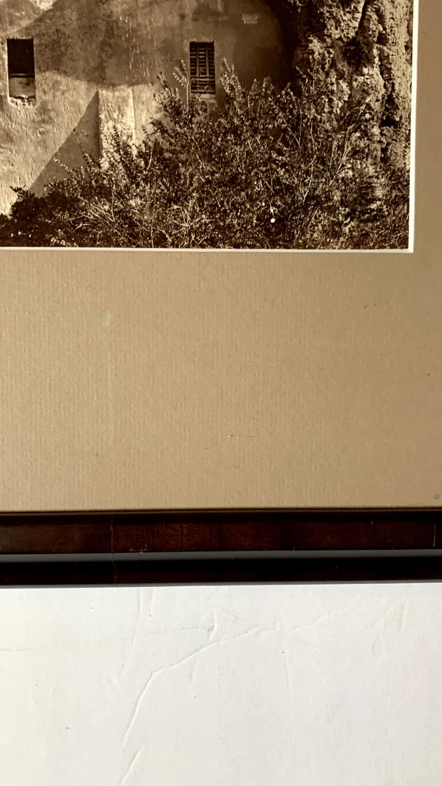 Photograph: JAMES ANDERSEN. “PLUTO.” Framed under Museum glass. 19th c.