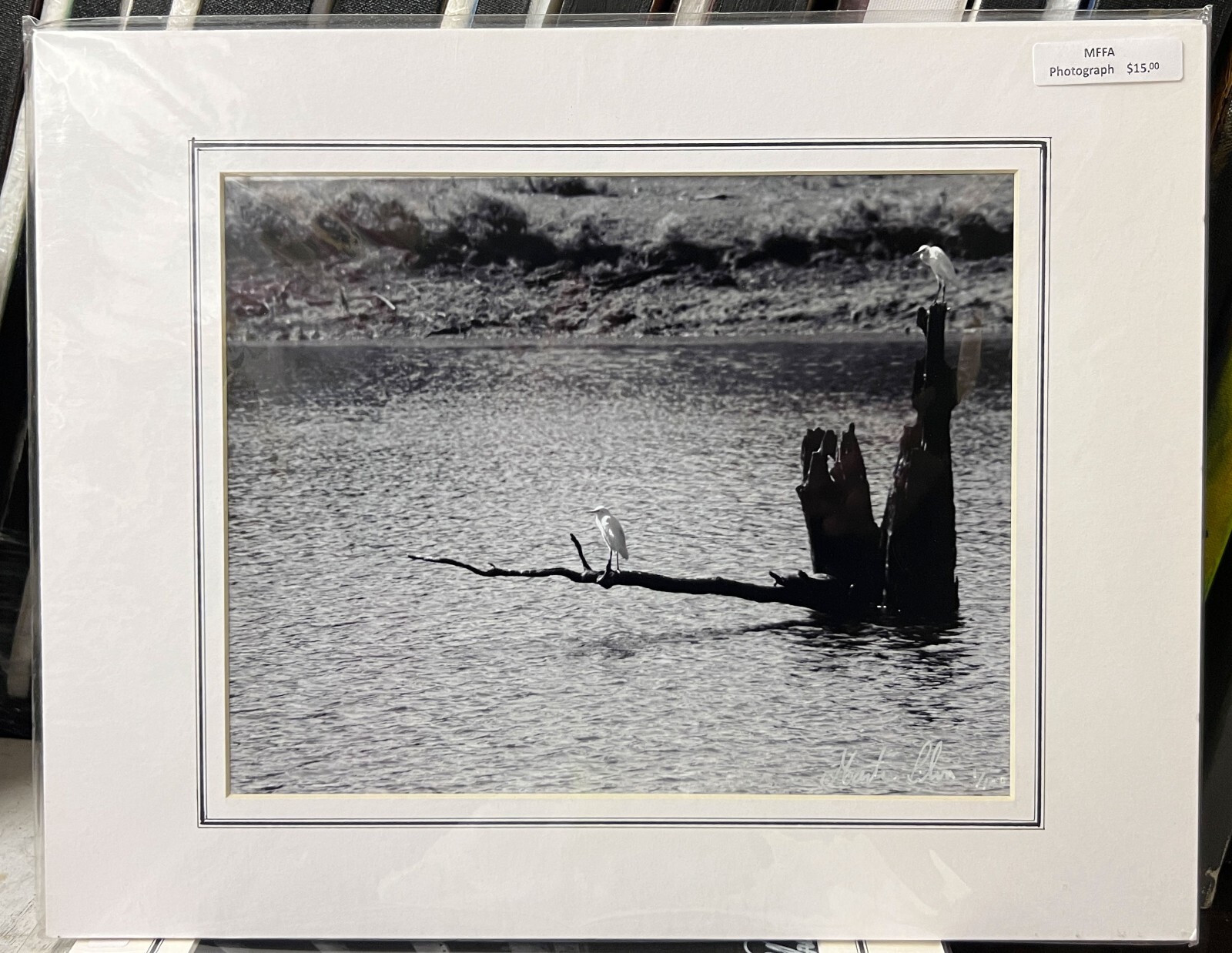 Matted black and white photograph signed 11 x 14 inch white birds Texas lake