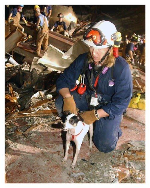 World Trade Center 9/11 Working Rescue Dog Silver Halide Photo – Ver 2