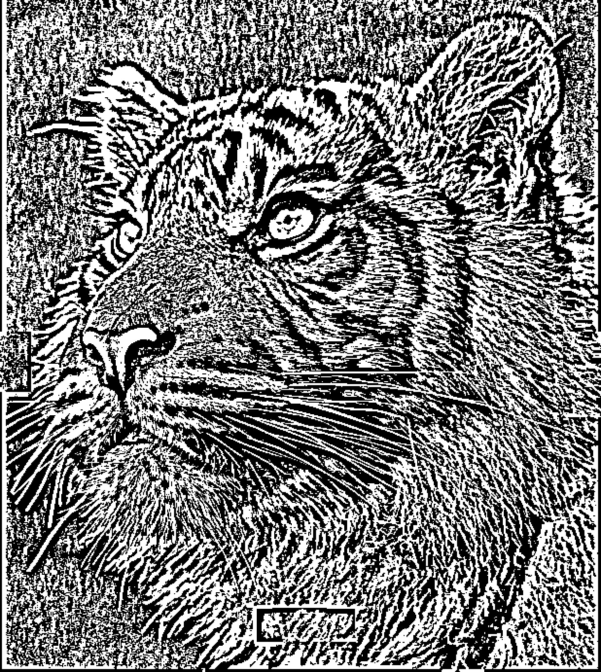 Digital images, art photography wallpapers, backgrounds, tiger ink painting styl