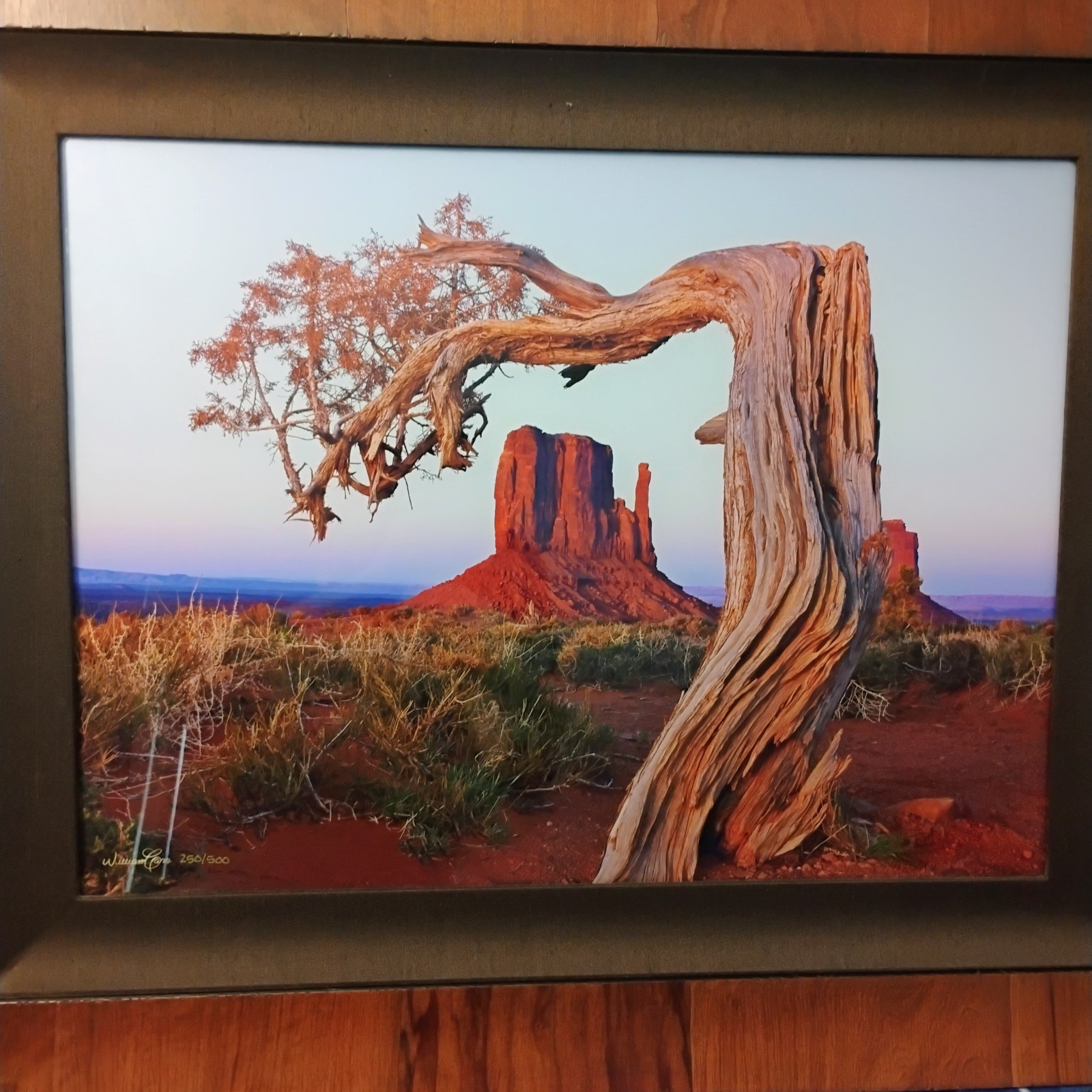William Carr professional fine art photograph with Oak frame retail value $1600