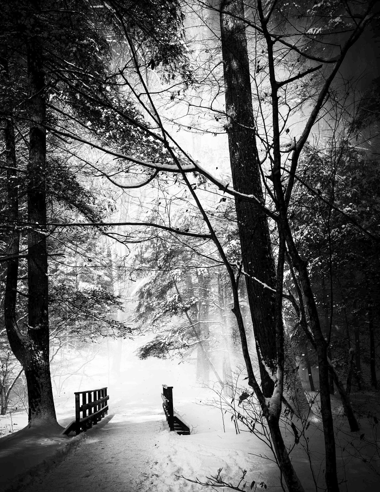 LANDSCAPE 8.5×11 or 13X19 B&W BORDERLESS GLOSSY PRINT (FREE SHIPPING)