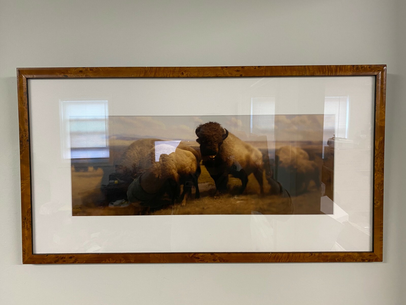Jonathan Singer “Buffalo” 2006/2008 Edition 3/10 Inkjet Print in Wood Frame