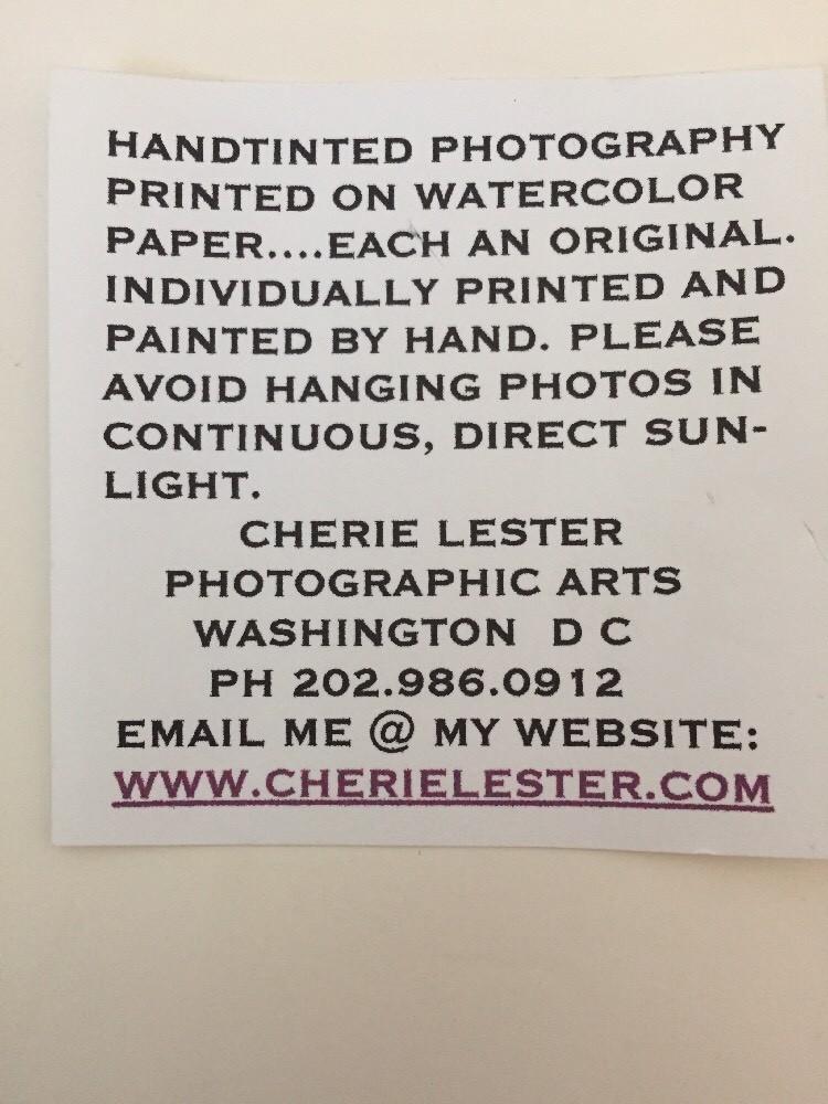 3 Cherie Lester Washington DC Eastern Market Hand Colored Framed Art Photographs