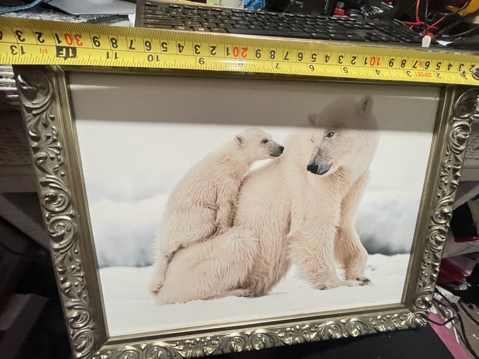 No glass plastic frame Polar Bear with Cub Wall Art 13″Lx10″Hx2″D(K5