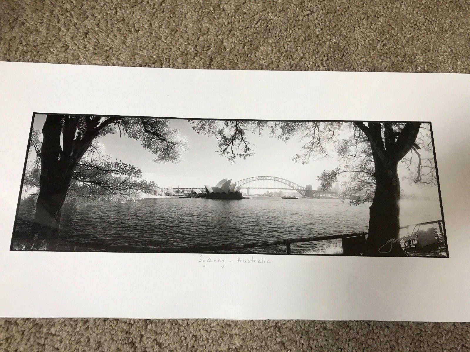 Jonathan Marks Sydney Australia 8 1/2″ x 17 3/4″ Signed Photograph Sealed New