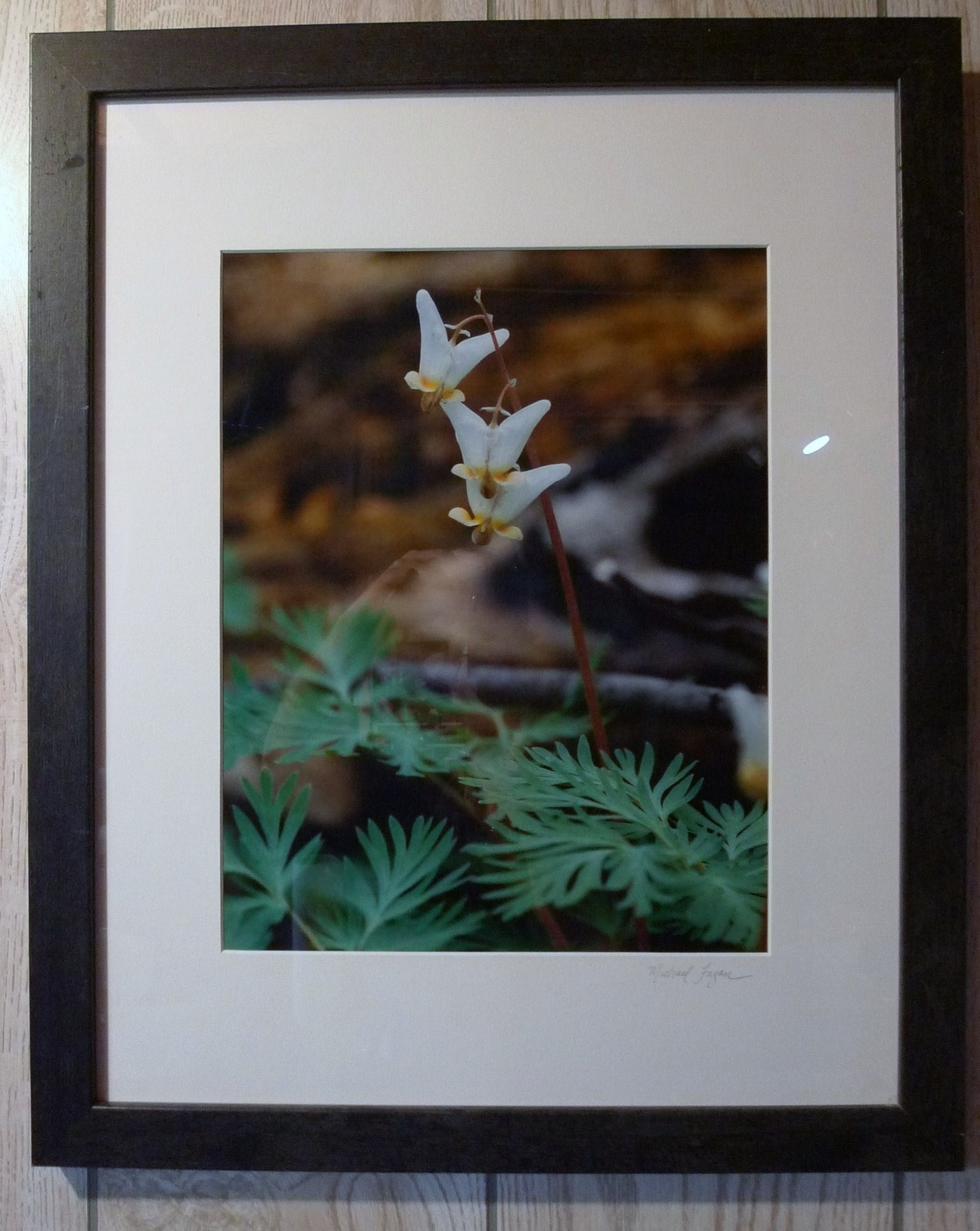 FRAMED 22″ X 18″ MICHAEL FAGAN SIGNED FLOWER PHOTOGRAPH