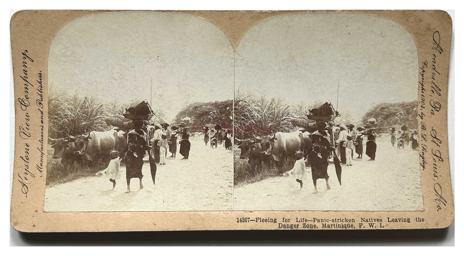 Martinique Residents Fugitives Of The Danger 1902 Photo Stereo Vintage