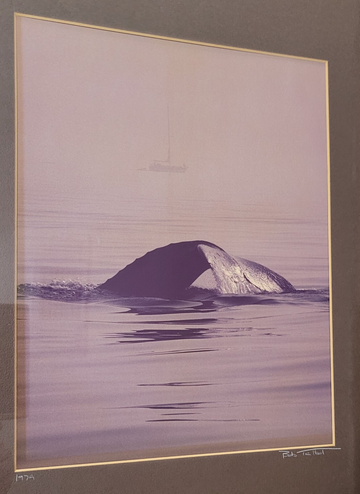 BOB TALBOT – Signed 1979 Original Whale Marine Photo 16×20 framed