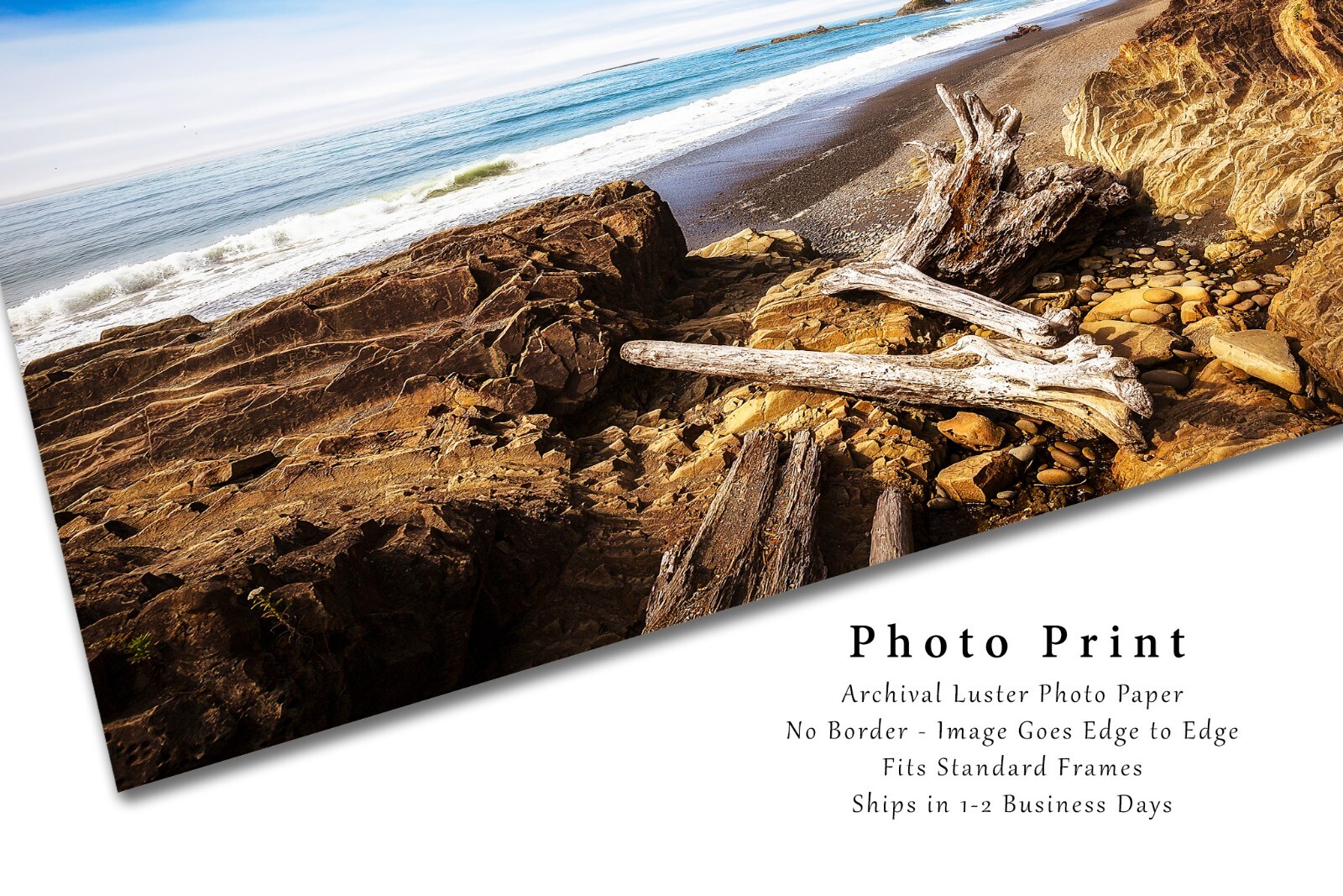 Driftwood Photography Print: Washington Coast Pacific Northwest Beach Photo