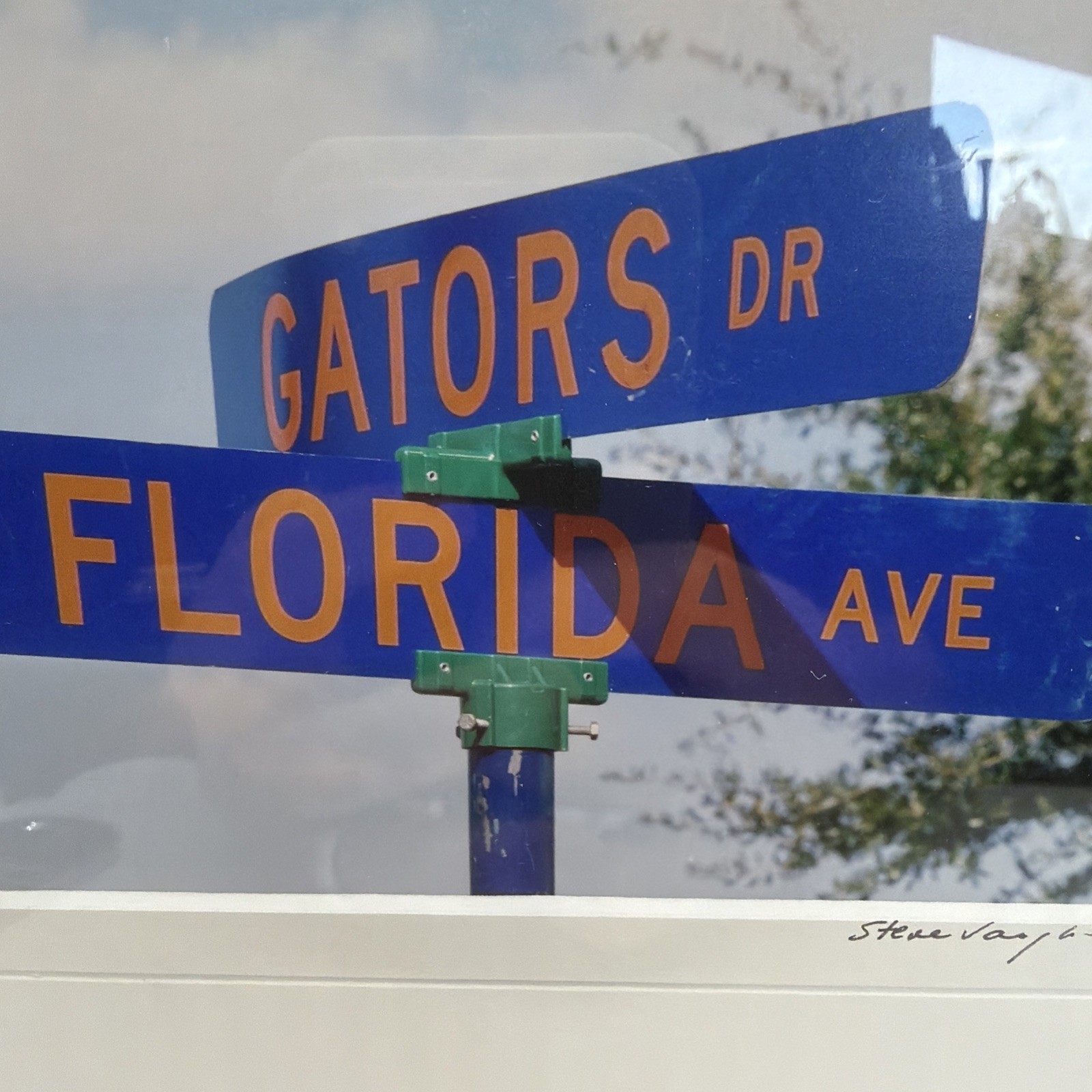 Steve Vaughn Fine Art Photography Size 4 “x 6 ” signed- Gators And Florida