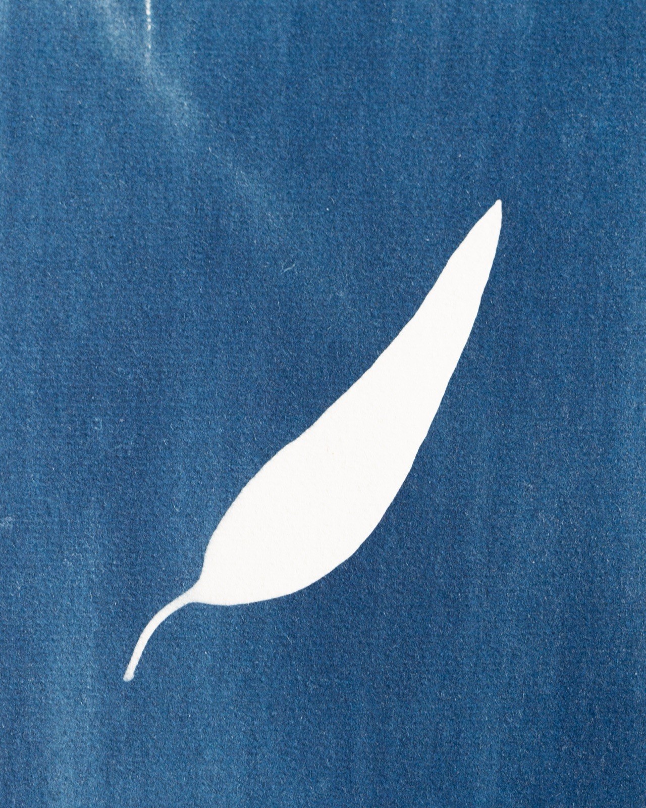 Original Cyanotype Print – Botanical Leaf Photogram – Handmade | 15×20 cm