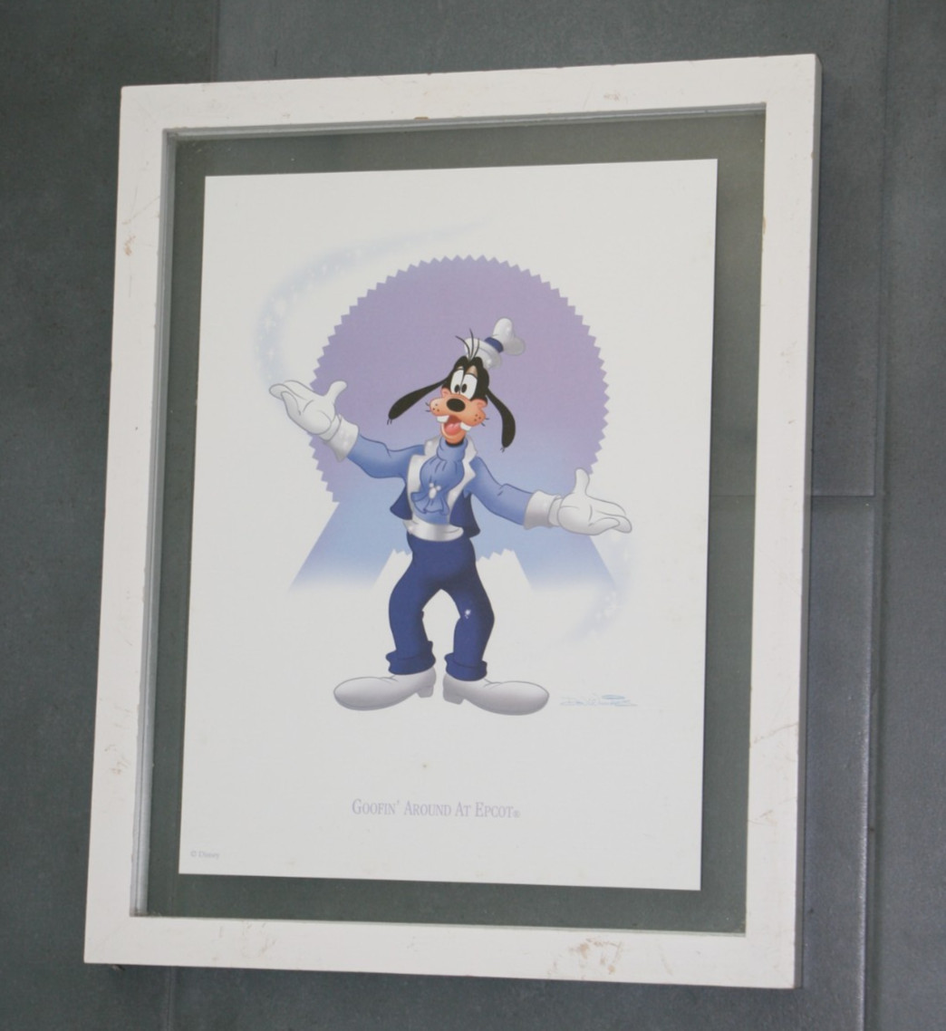 Disney Pluto Animal Kingdom Donald Duck Hollywood Studios Goofy Epcot Lith Set