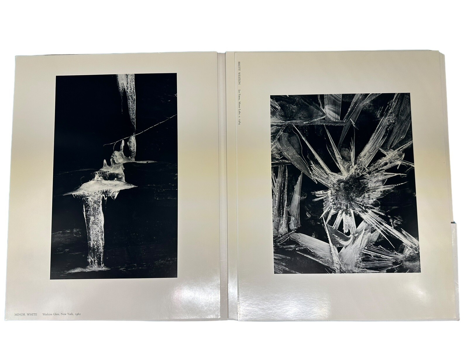 Persistence of Beauty Portfolio 1 The Friends of Photography / JLG