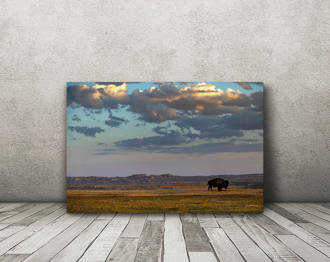 Buffalo Photography home decor western landscape wall art picture nature