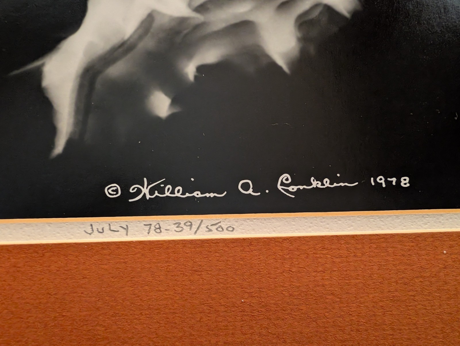 William A. Conklin 1978 Radiographic Photograph Murex Shell — Signed, #39/500