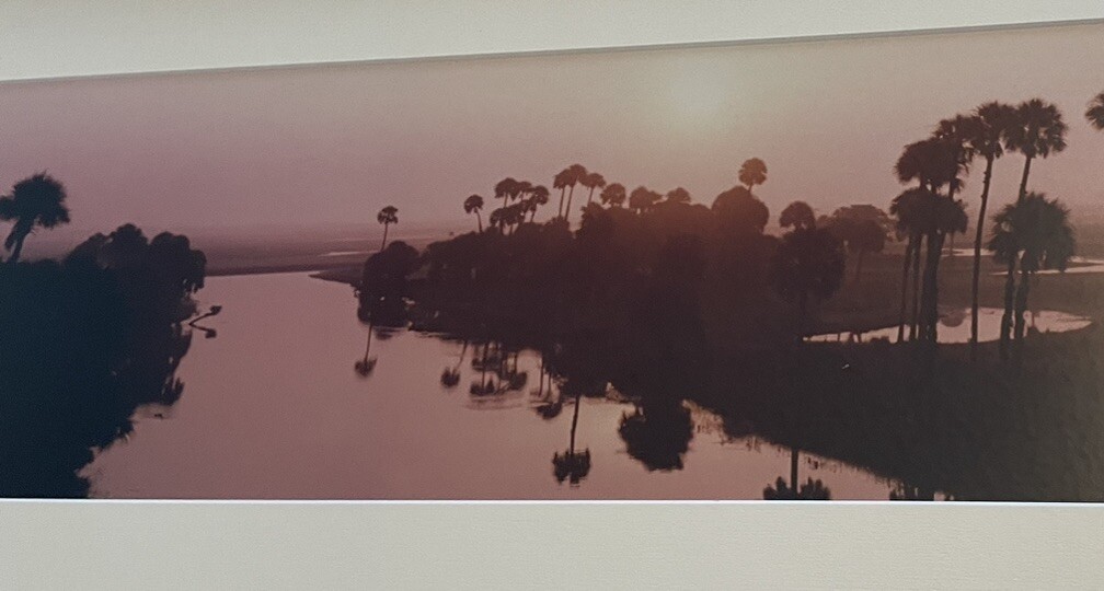 Panoramic Framed ECON Top Econlockhatchee River Florida Steve Vaughn 52:11’