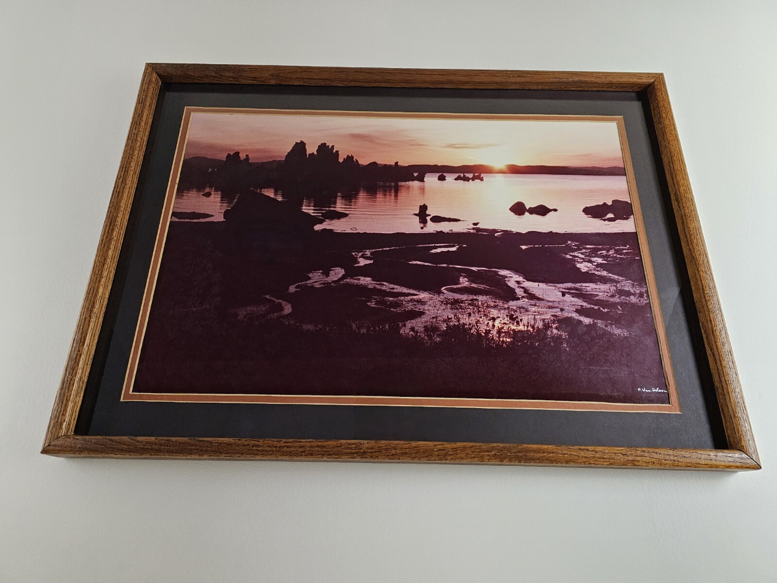 ART – Large Original Signed P. Van Dolson 35mm Photograph 29×21 Framed Landscape